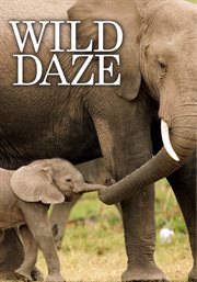 Wild daze cover image cdn