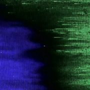 Antithesis of human cover image cdn