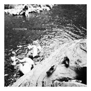 Evernow cover image cdn