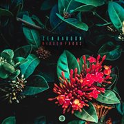 Hidden frogs cover image cdn