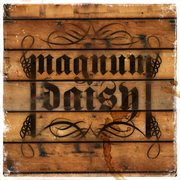 Magnum daisy cover image cdn