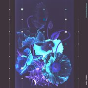 Phonosynthesis remixed cover image cdn