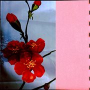 When they align just so, memories of another life bleed into my own cover image cdn