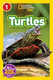 Turtles cover image cdn