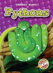 Pythons cover image cdn