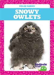 Snowy owlets cover image cdn