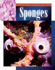 Sponges cover image cdn