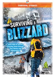 Surviving a blizzard cover image cdn