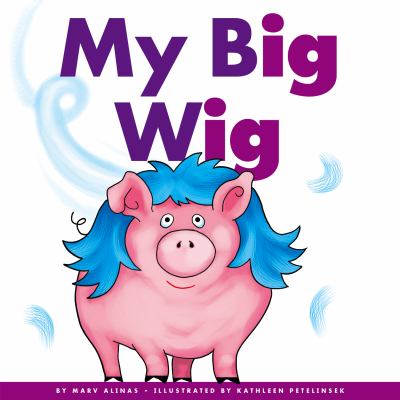 My big wig  cover image cdn