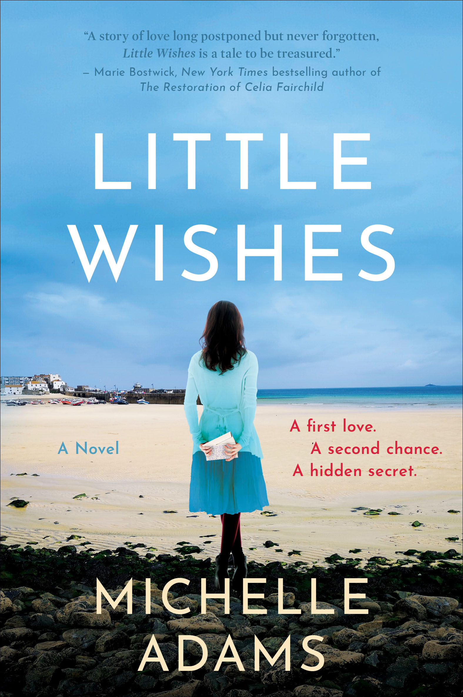Little Wishes A Novel cover image cdn