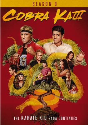 Cobra Kai. Season 3 cover image cdn