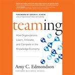 Teaming : how organizations learn, innovate, and compete in the knowledge economy cover image cdn
