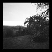 Beast of riddles, monster of light cover image cdn