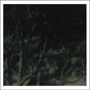 Beautiful forest cover image cdn