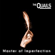 Master of imperfection cover image cdn