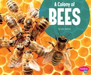 A colony of bees cover image cdn