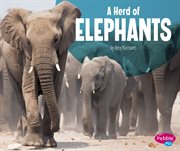 A herd of elephants cover image cdn