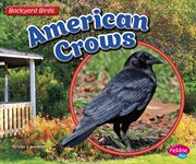American crows cover image cdn