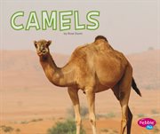 Camels cover image cdn