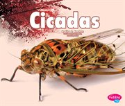 Cicadas cover image cdn