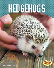 Hedgehogs cover image cdn