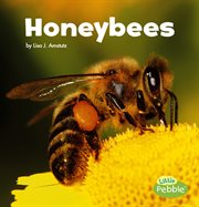 Honeybees cover image cdn