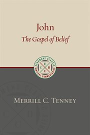 John : the gospel of belief : an analytic study of the text cover image cdn