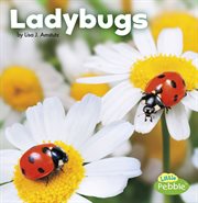 Ladybugs cover image cdn