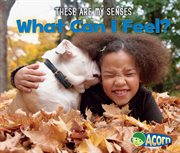 What can I feel? cover image cdn