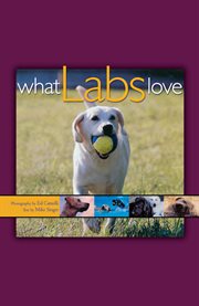 What labs love cover image cdn