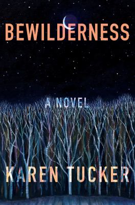 Bewilderness  cover image cdn