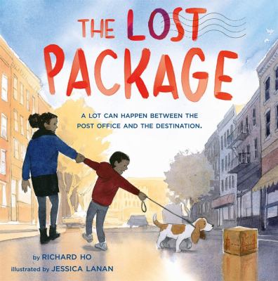 The lost package cover image