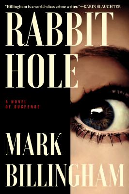 Rabbit hole  cover image cdn