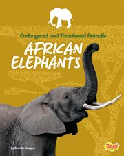 African elephants cover image cdn