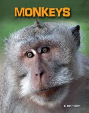 Monkeys cover image cdn