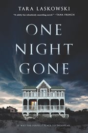 One night gone : A Novel cover image cdn