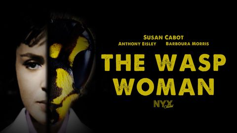 The Wasp Woman cover image cdn