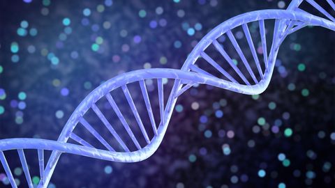 Language and the Mind. Episode 5, Genes, Brains, and Evolution cover image cdn