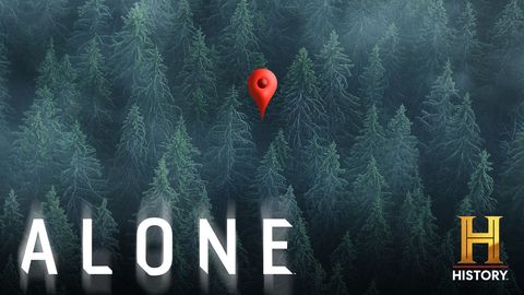 Alone cover image cdn