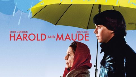Harold and Maude cover image cdn
