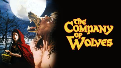 Company of Wolves cover image cdn