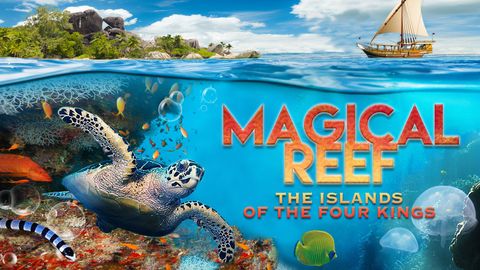Magical Reef: The Islands of the Four Kings cover image cdn