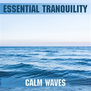 Calm waves cover image cdn