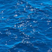 Deep trouble cover image cdn