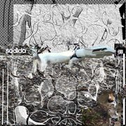 Hidden in plain sight cover image cdn