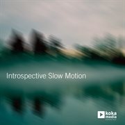 Introspective slow motion cover image cdn