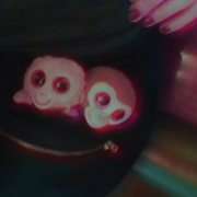 My empire cover image cdn