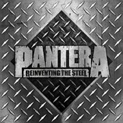 Reinventing the steel (20th anniversary edition) cover image cdn