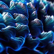 Sacrifice cover image cdn