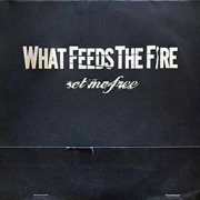 Set me free cover image cdn